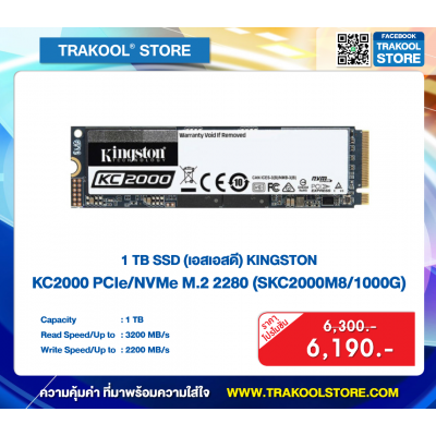 1 TB SSD KINGSTON KC2000 PCIe-NVMe M2 2280 (SKC2000M8-1000G)