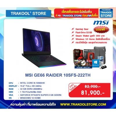 MSI GE66 RAIDER 10SFS-222TH